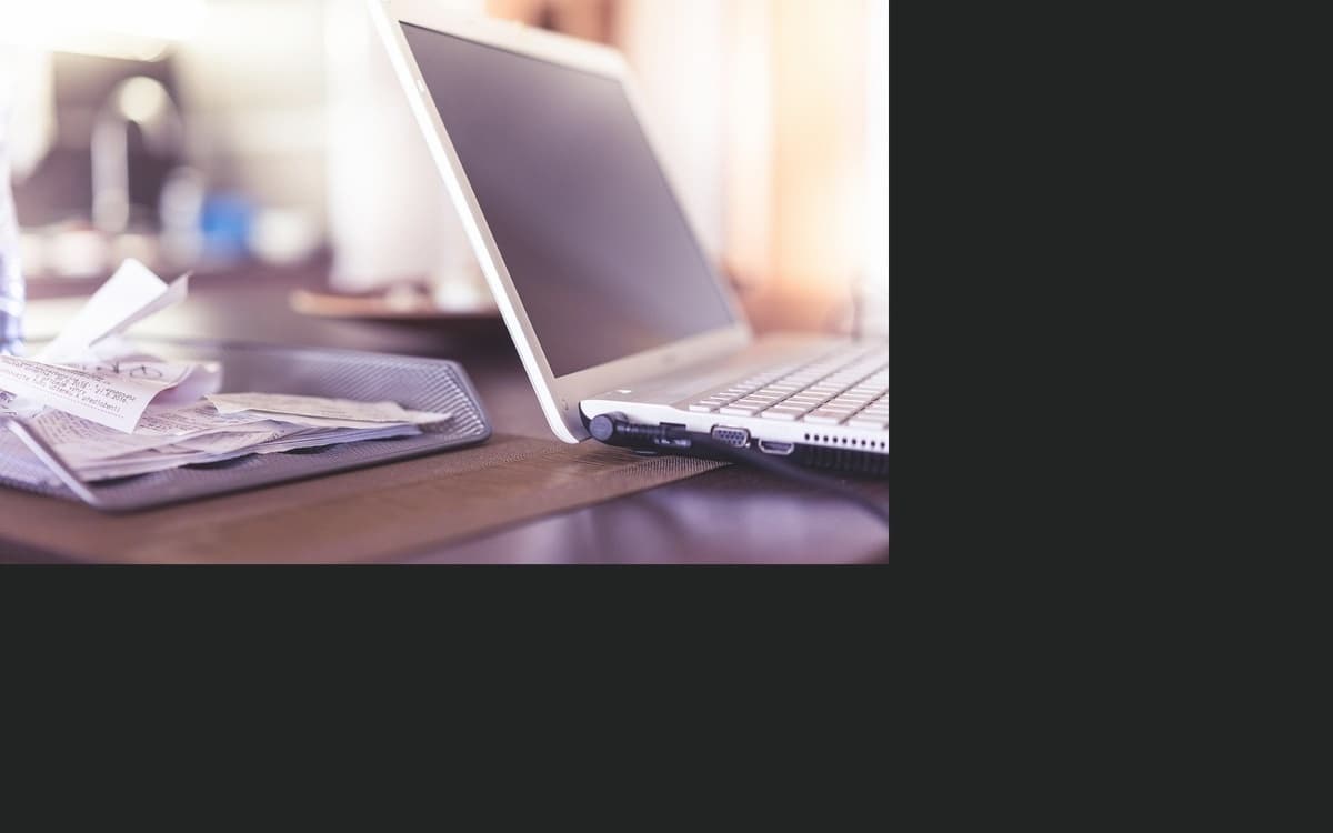 Freelancer reviewing finance dashboard progress